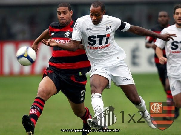 Flamengo no Brasileiro 2009
