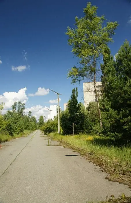 chernobyl 13