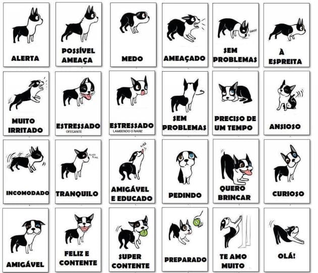 Linguagem-Canina