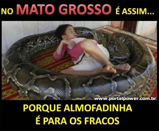 No Mato Grosso é assim (5)