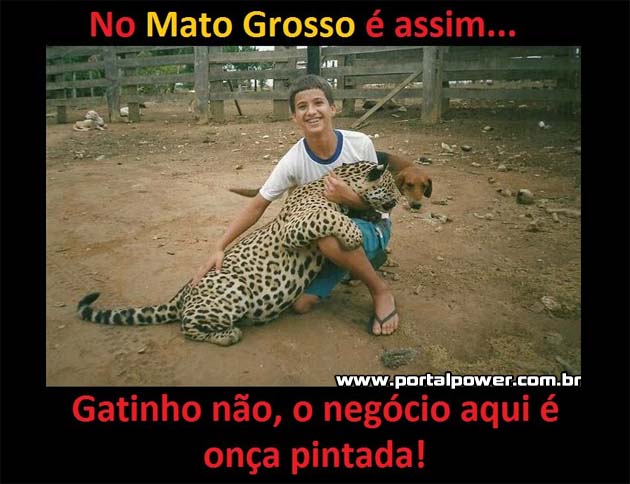 No Mato Grosso é assim (9)