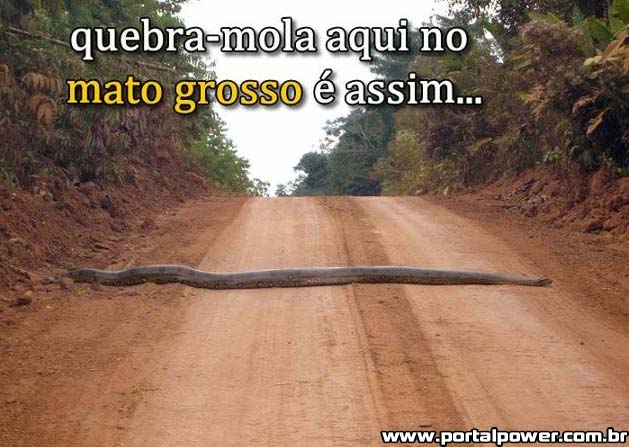 No Mato Grosso é assim (16)