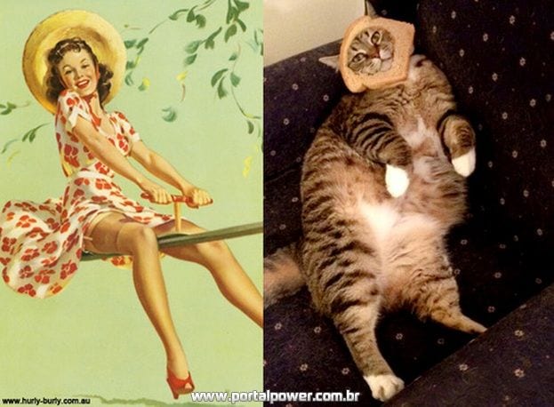Gatos Imitam a Arte 