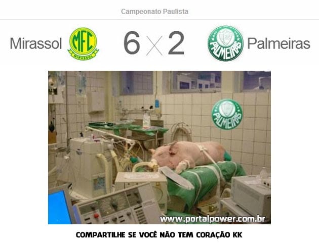 Porquinho tá na uti, coitado do Palmeiras