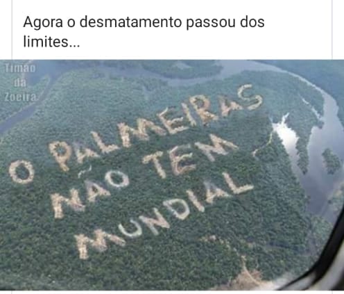 Desmatamento Passou dos limites Palmeiras