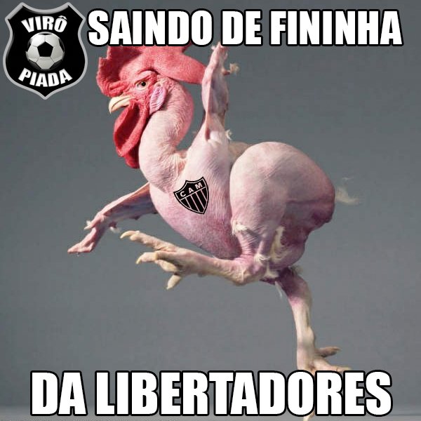 Galinha saindo da Libertadores
