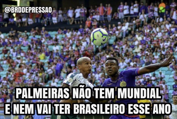 Palmeiras-não-tem-brasileiro