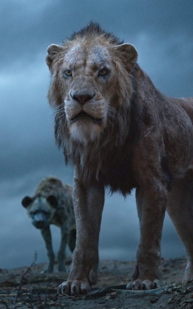 O-Rei-leão-The-Lion-King-2019-Wallpaper-16-scaled