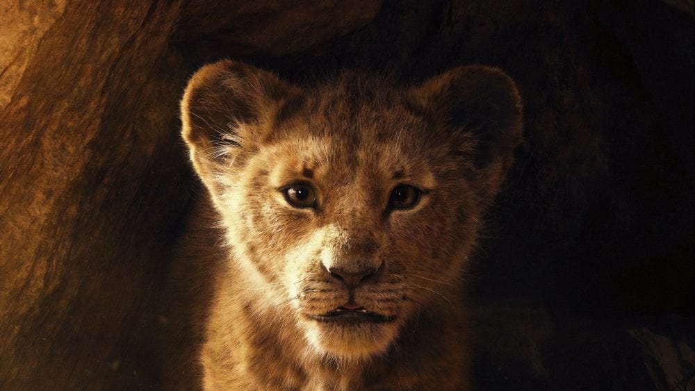 O-Rei-leão-The-Lion-King-2019-Wallpaper-5-scaled