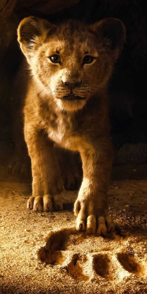 O-Rei-leão-The-Lion-King-2019-Wallpaper-6-scaled