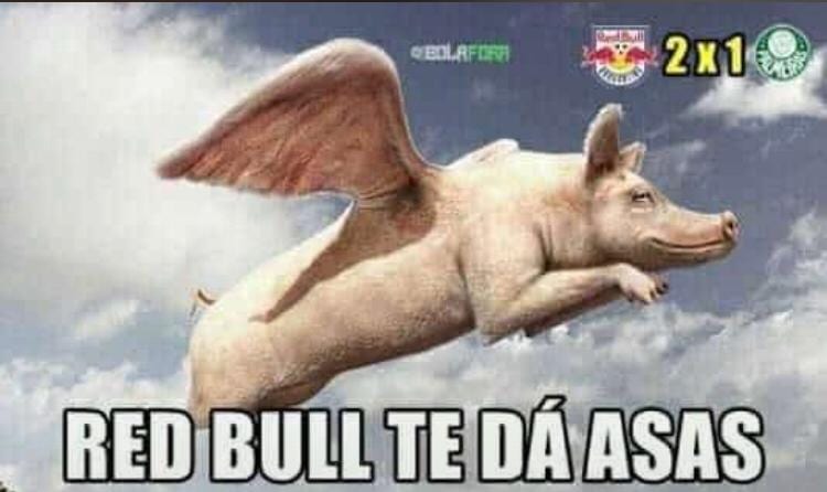 Zoando-Palmeiras-Red-Bull