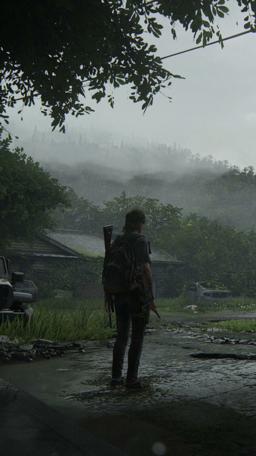 The Last Of Us Part 2 Wallpaper Iphone Android 4k 30