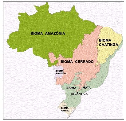 Biomas brasileiros no mapa
