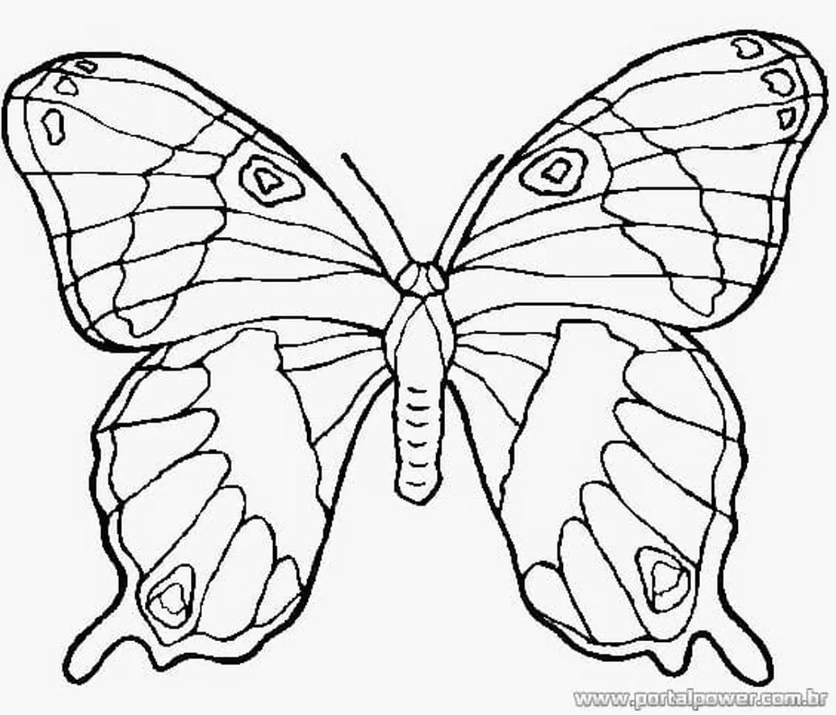 Desenho colorir borboleta