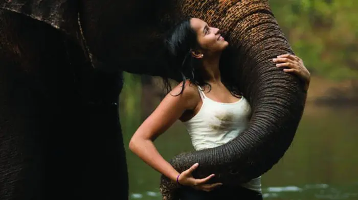 Elefante com mulher