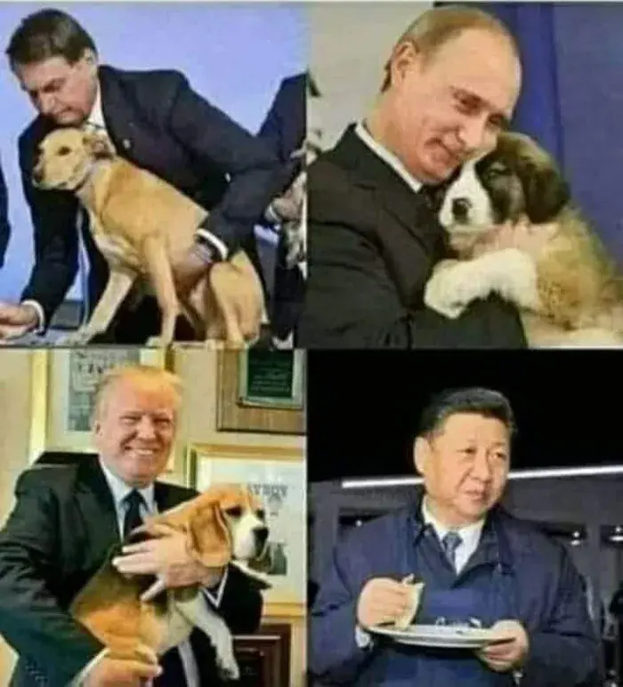 Presidentes com seus cachorros