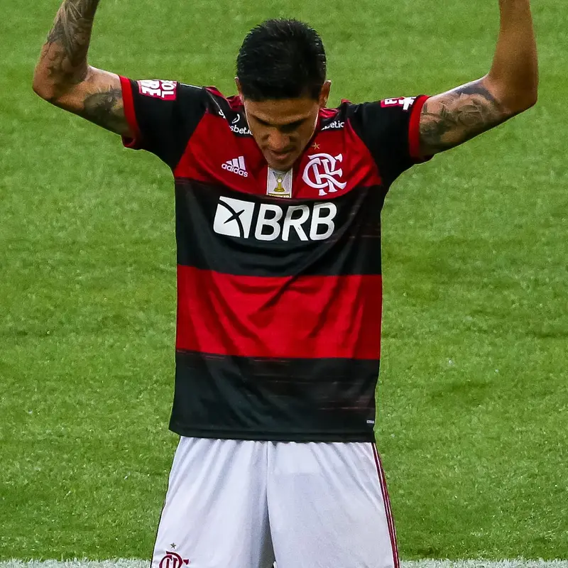 Pedro Flamengo Wallpaper 23
