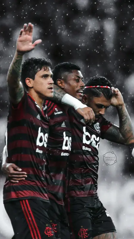 Pedro Flamengo Wallpaper 27