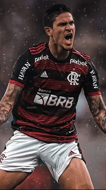 Pedro Flamengo Wallpaper 5