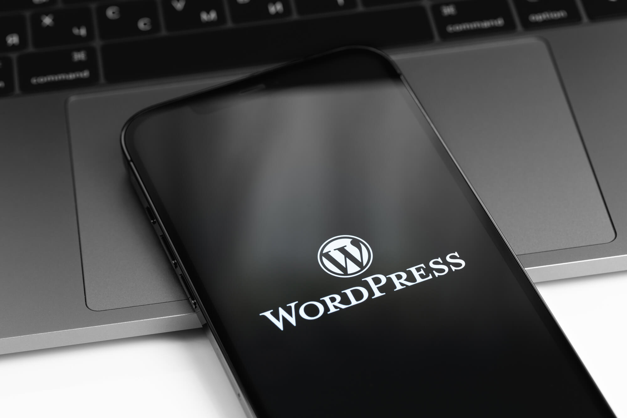 WordPress 20 anos