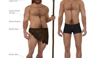 neandertais vs humanos 1